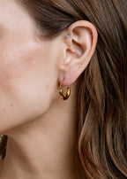 Scarlett Hoops