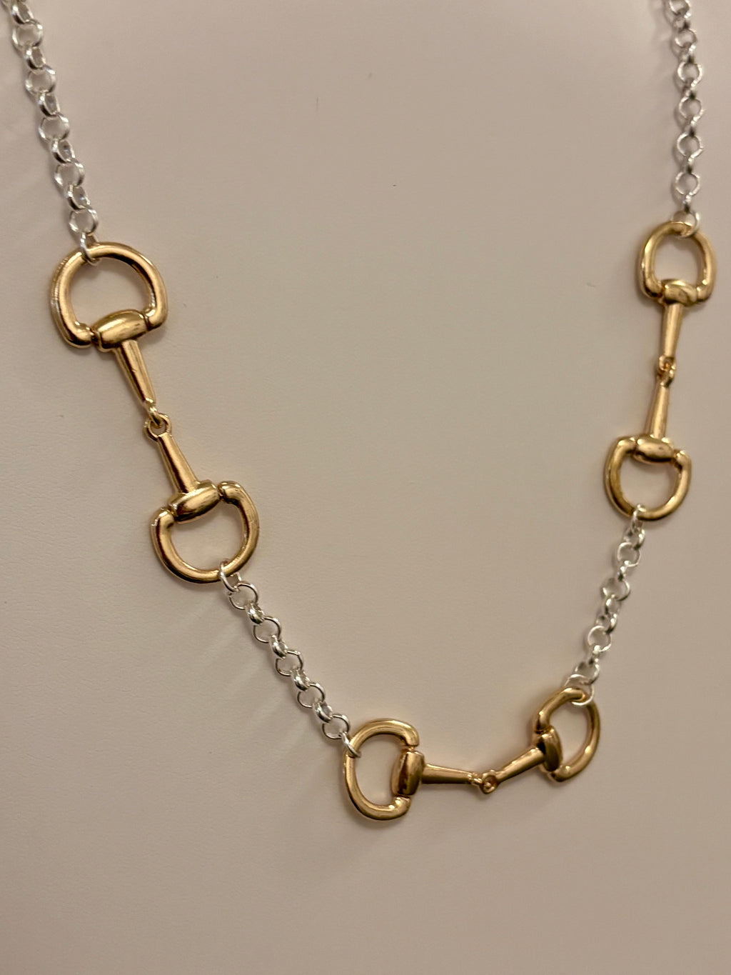 Bridle Path Mixed Metal Necklace